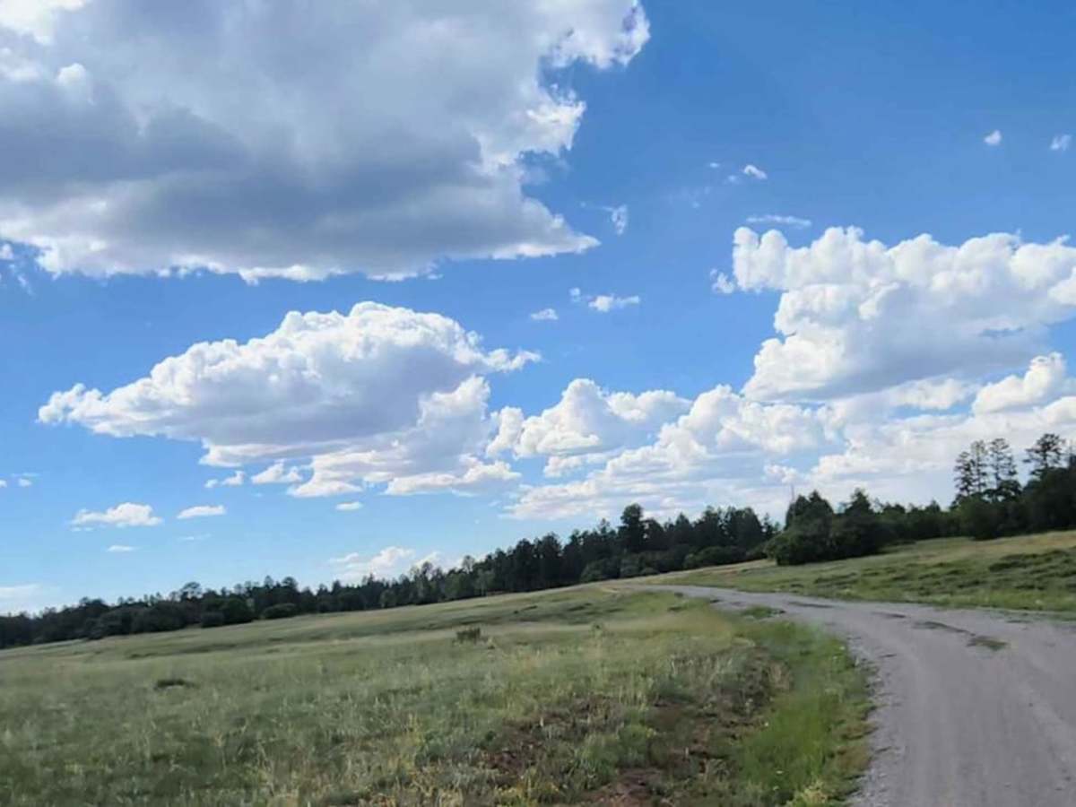 Flat Iron Road photo 3