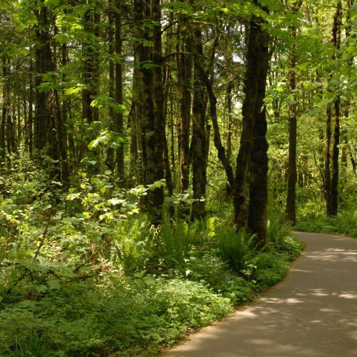 Near Tualatin Hills Nature Park Loop Trail