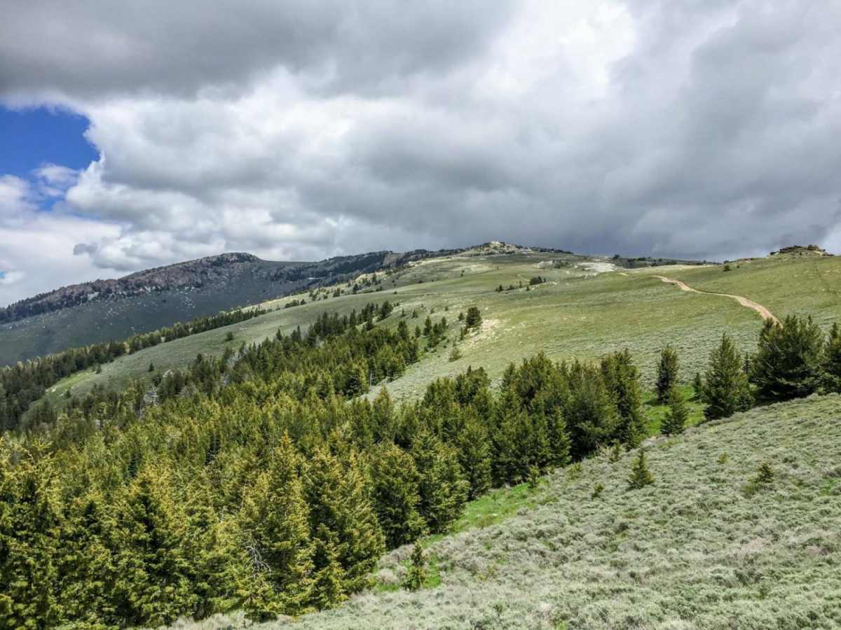 Bull Mountain photo 2