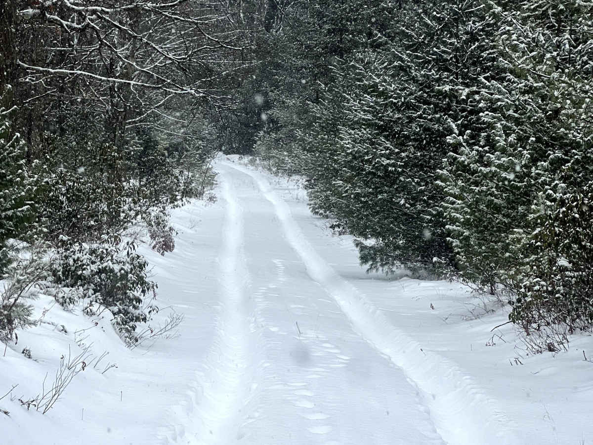 Mill Run Trail photo 4