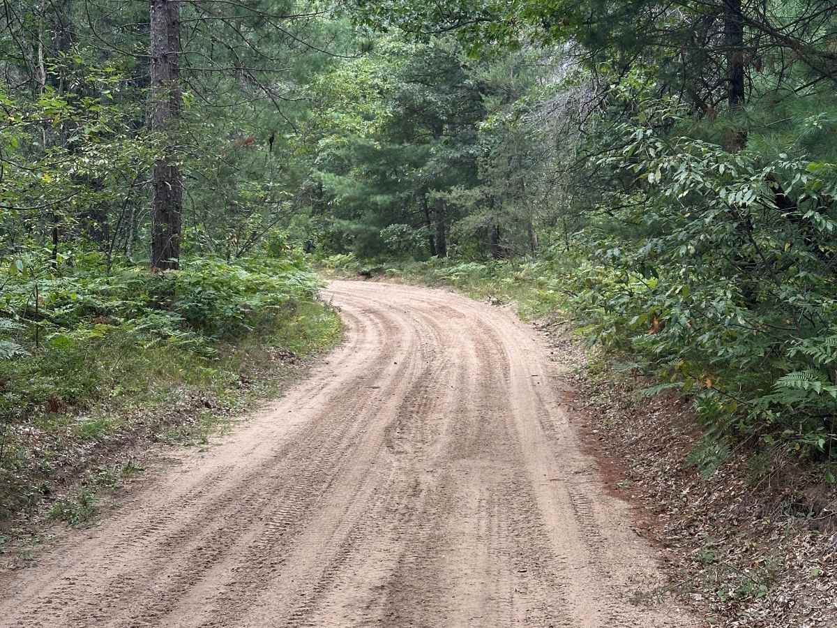 East Cavanaugh Road photo 5