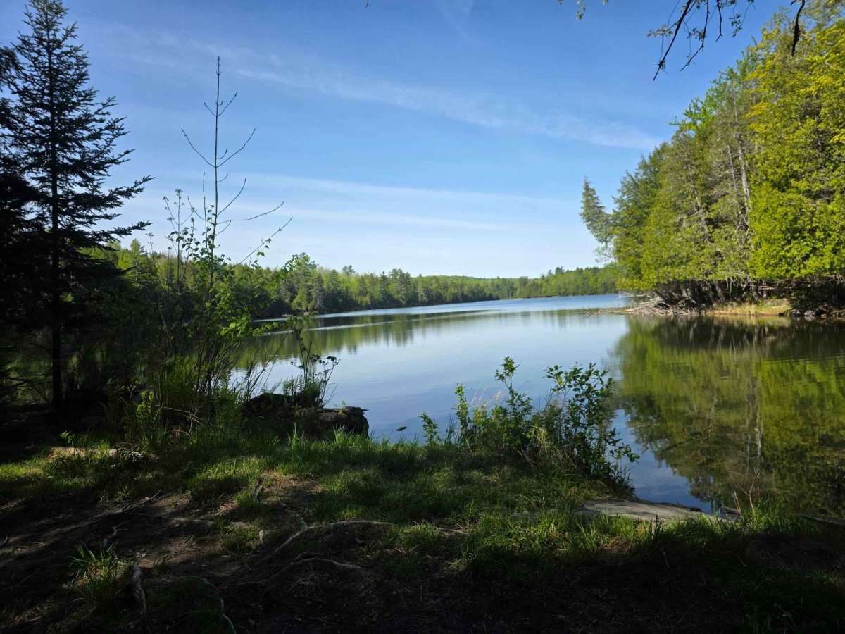 Moose Head Lake photo 2