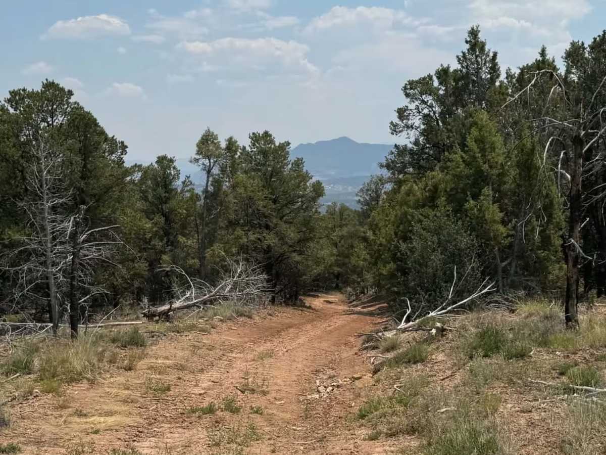 Cedar Mountain East photo 4