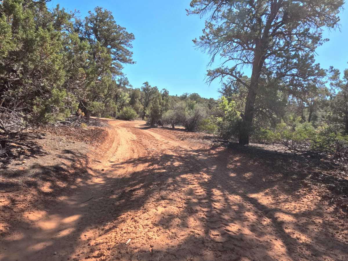 BLM 73Q photo 4