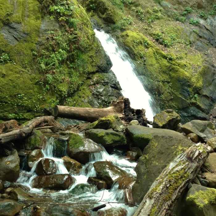Near Uvas Creek Trail