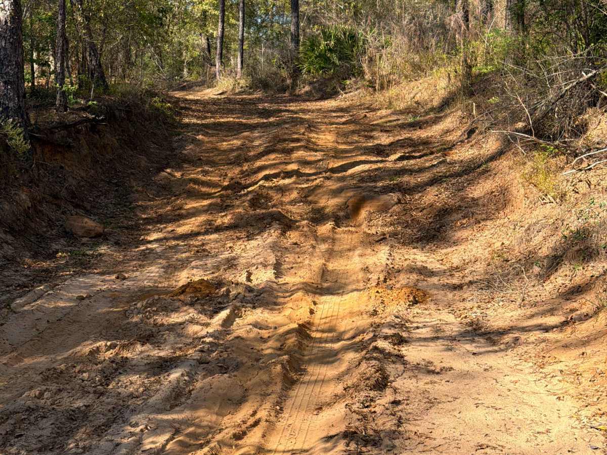 R 155 trail photo