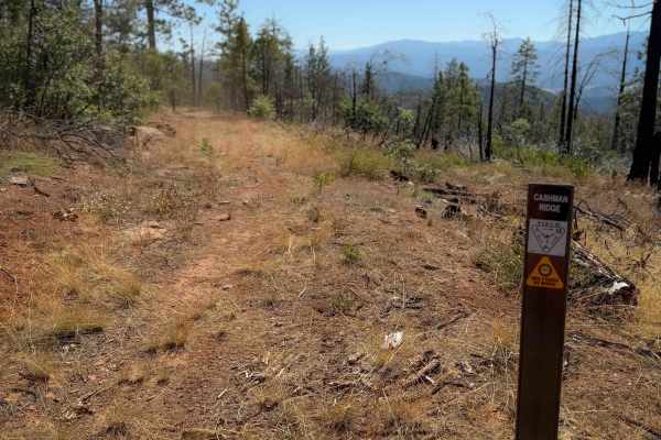 Cashman Ridge 