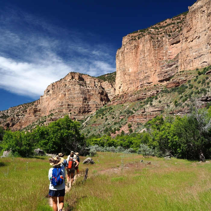 Near Jones Hole Trail