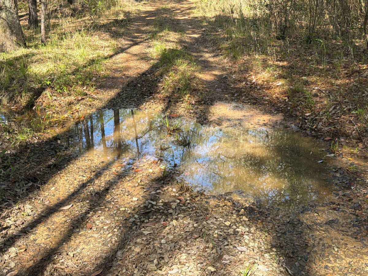 R 137 photo 6