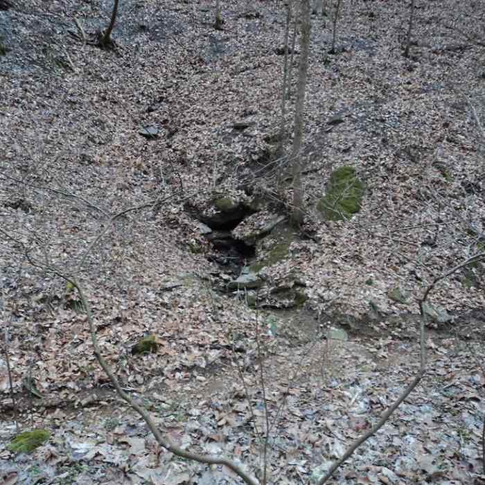 Near Big East Fork Reserve Trail