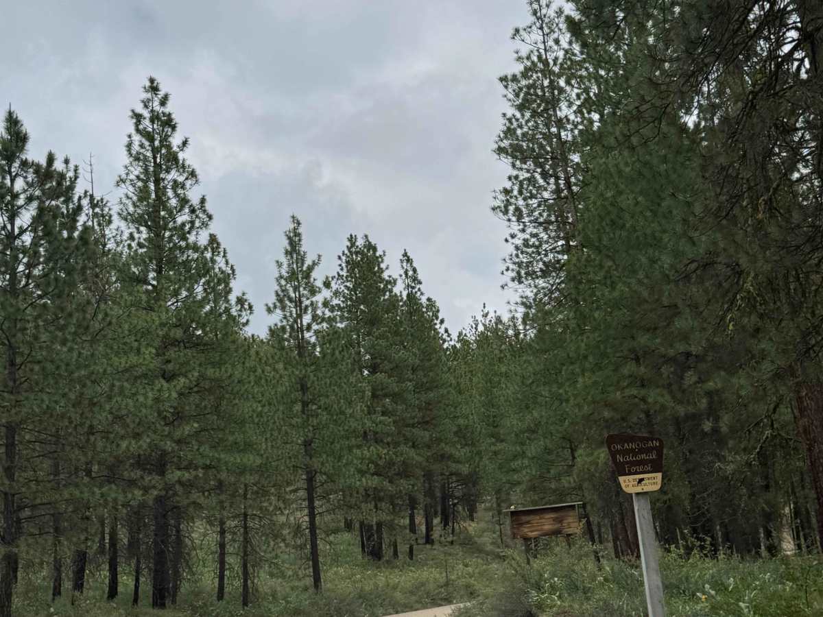 Washout Road - FS 5009-300  photo 5