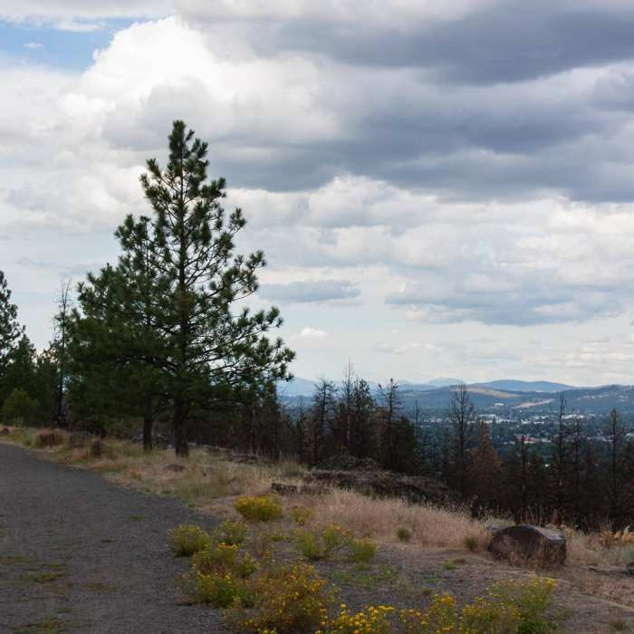 Near Rimrock Drive Trail