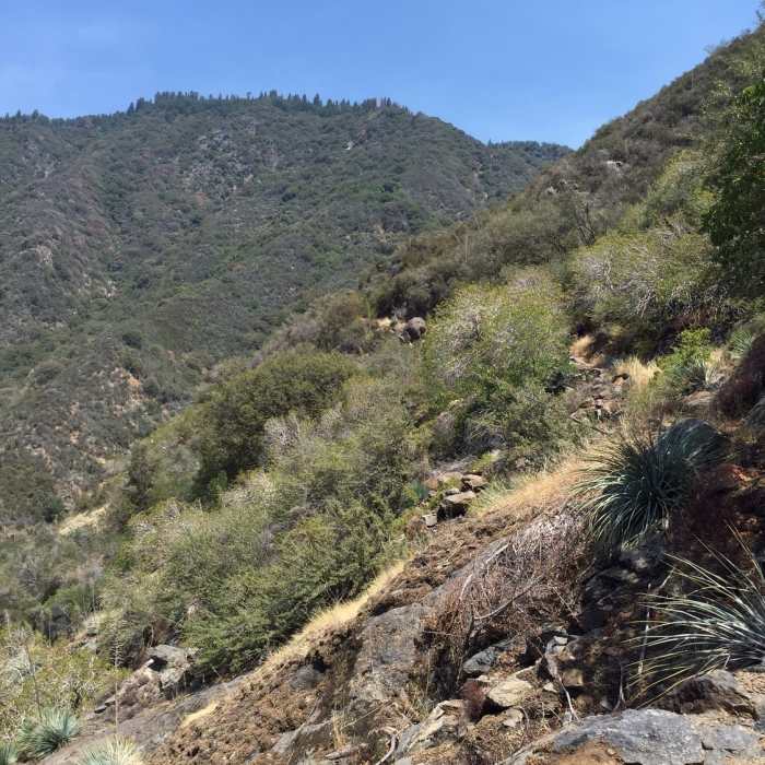 Singletrack on the edge. Near Marble Falls Trail