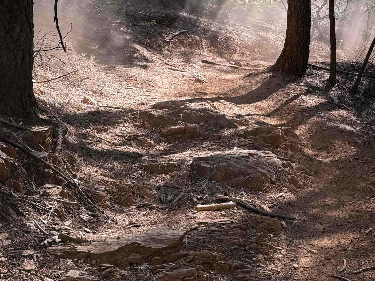 Trail 3 ATV (11E18)  photo 3