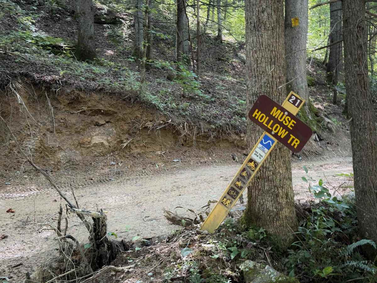 Muse Hollow Trail photo 6