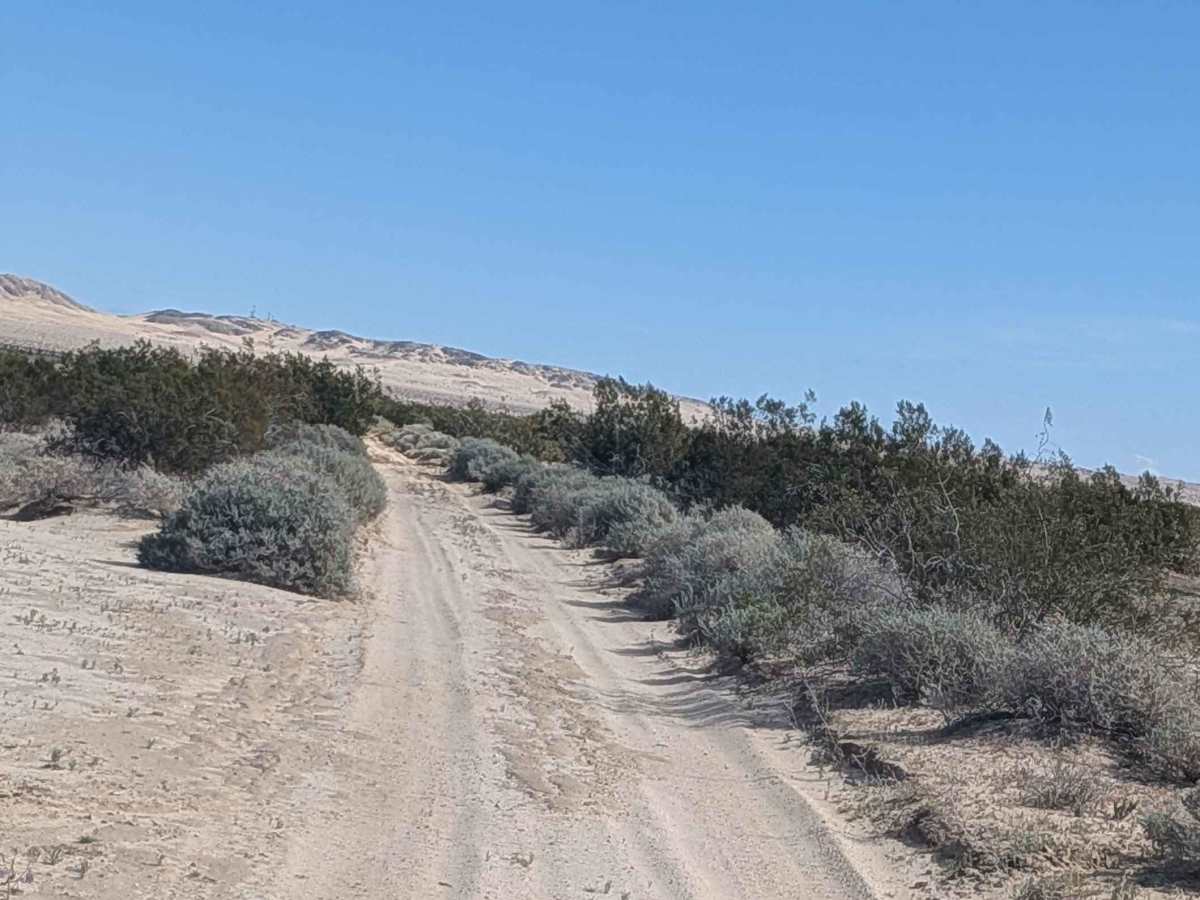 BLM 201 trail photo