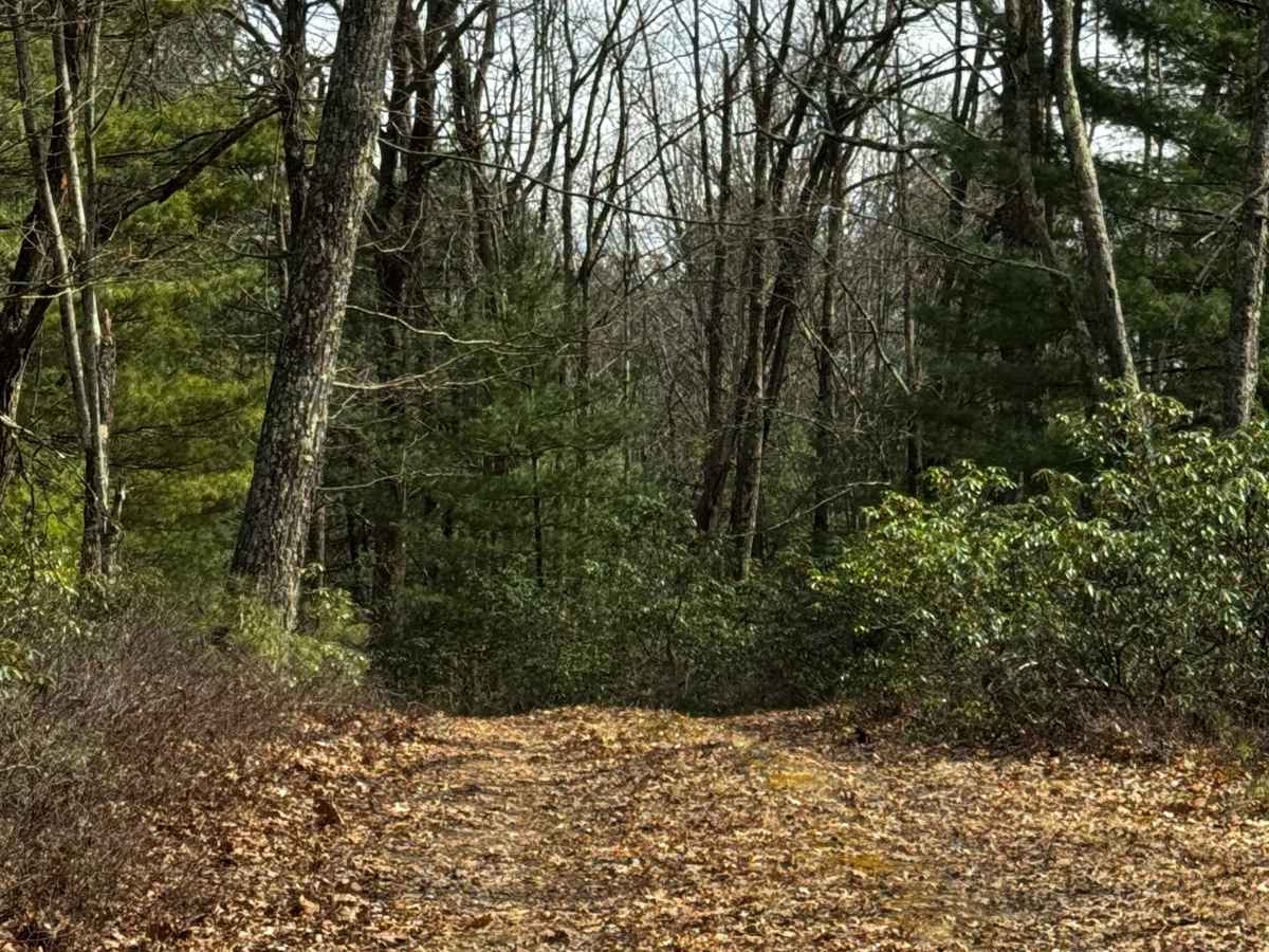 Tuckers Trail photo 6
