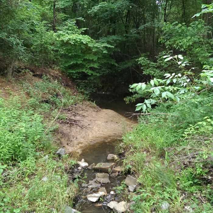 Creek crossing on the horse trail Near Monkey Trail