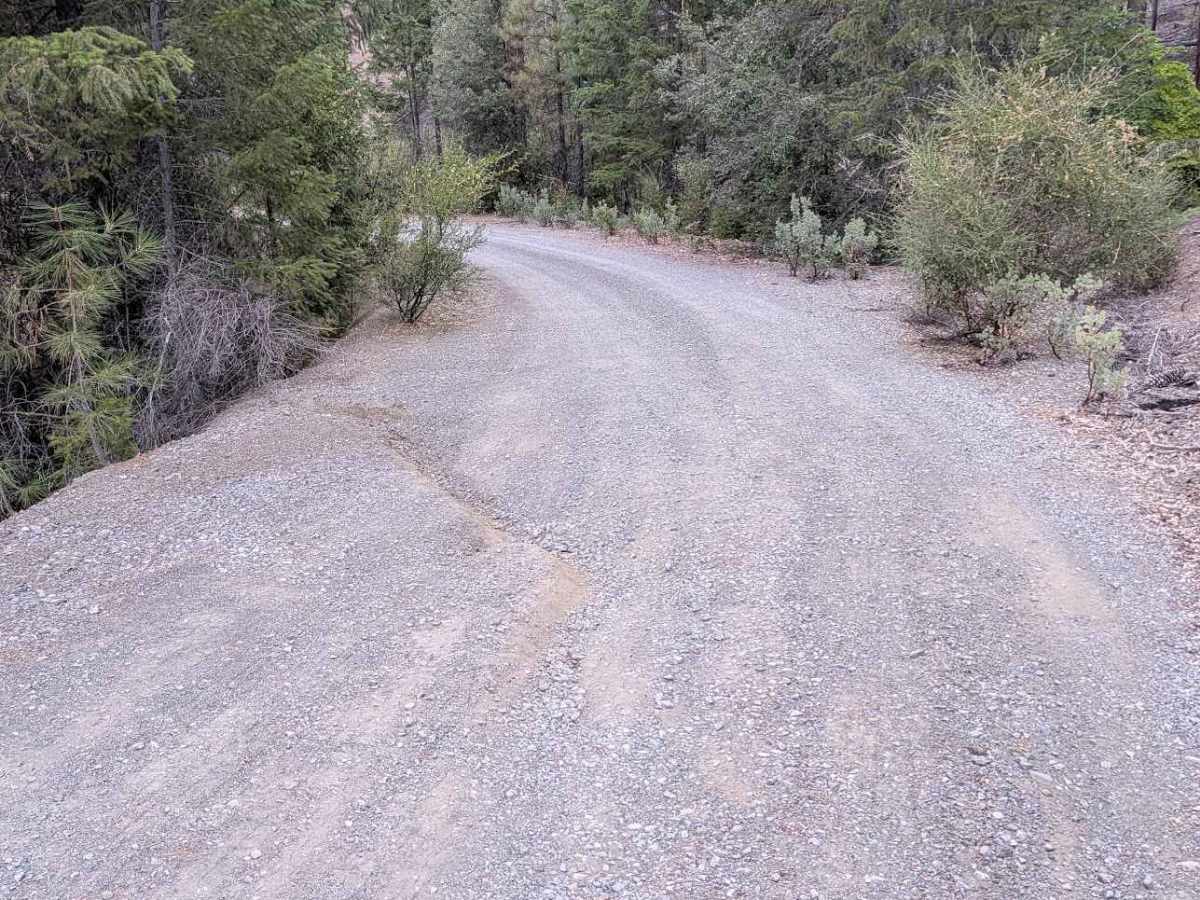 Potato Creek Road - FS 30N04  photo 4