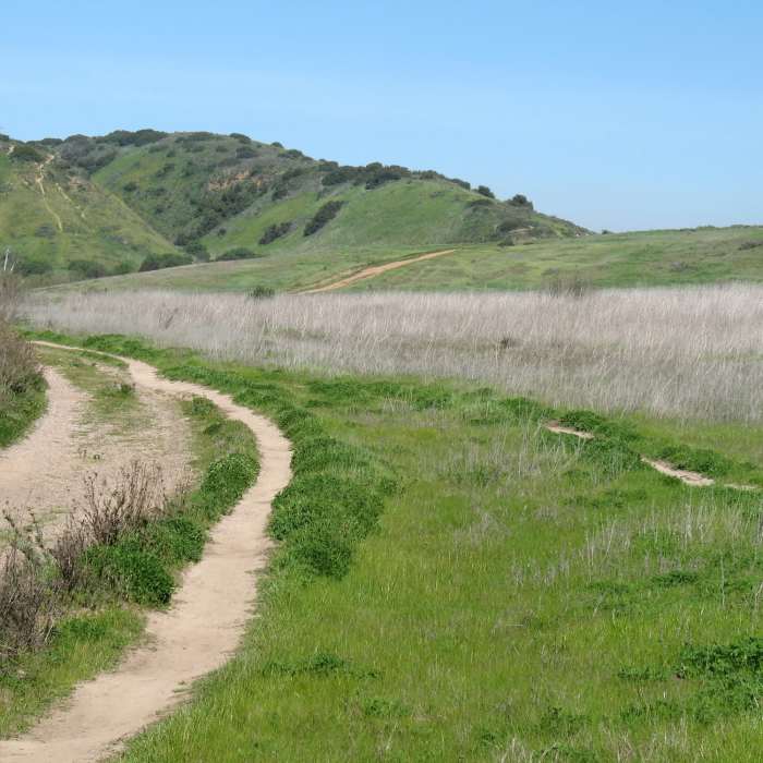 Near Cobbles Trail