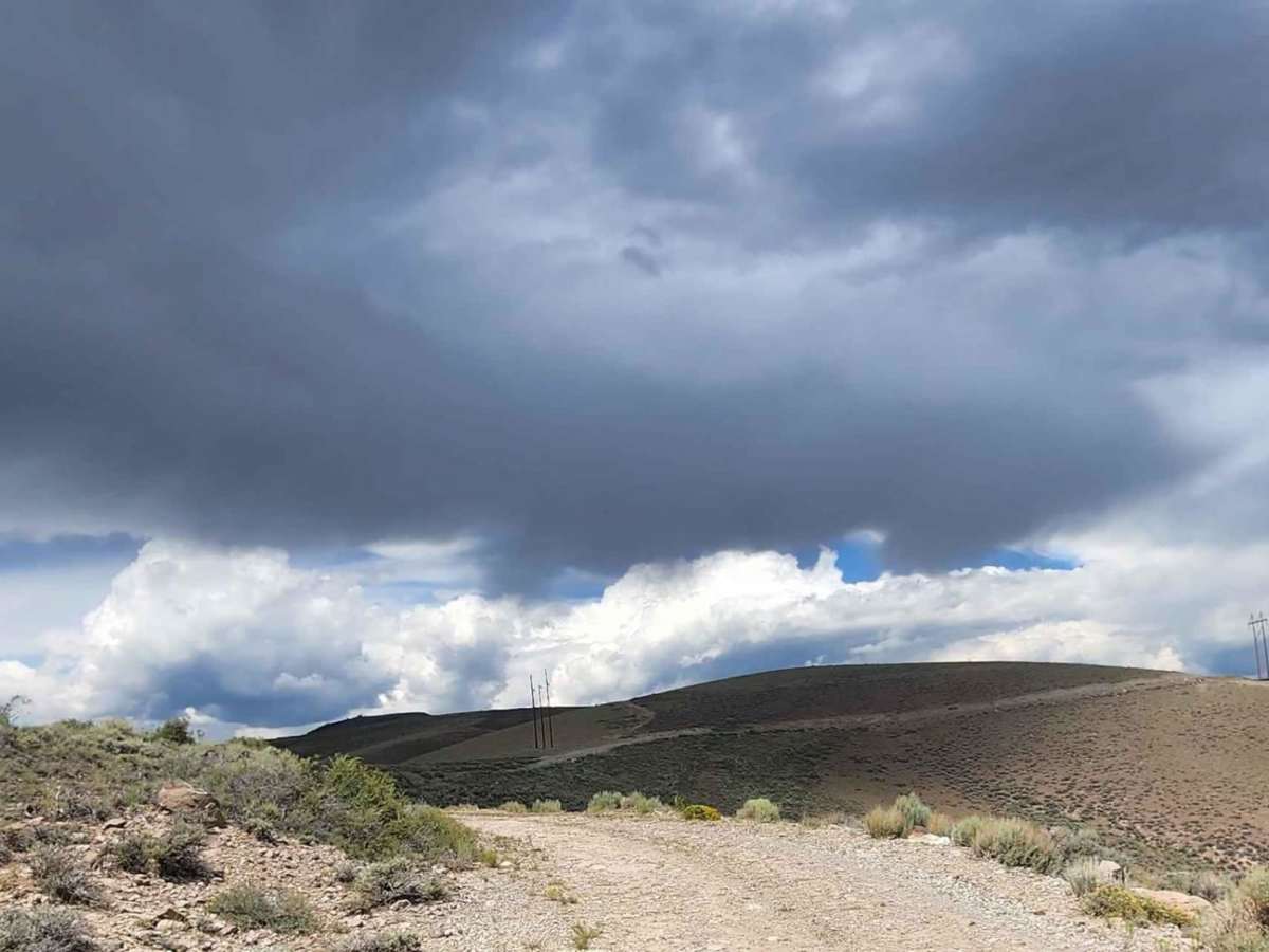 Steers Gulch Road photo 6
