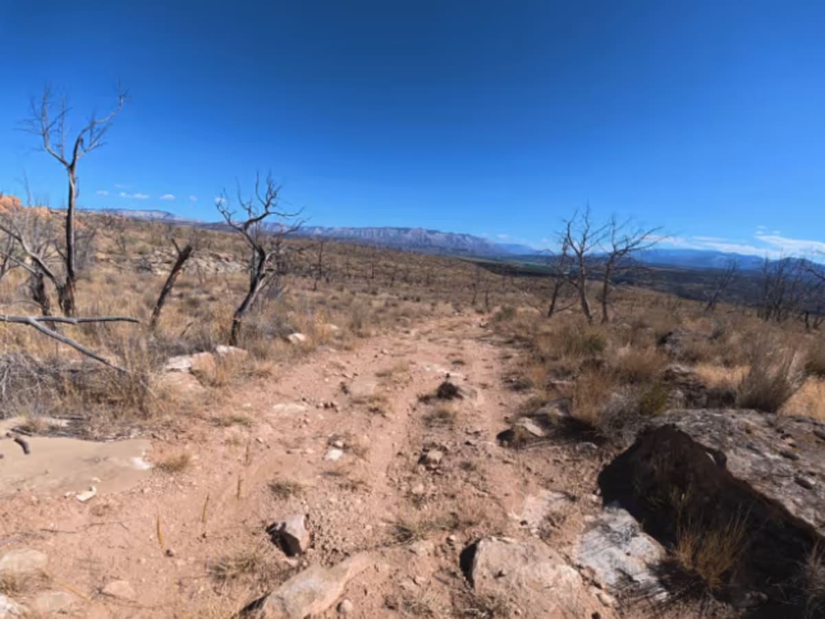 BLM 286 photo 5