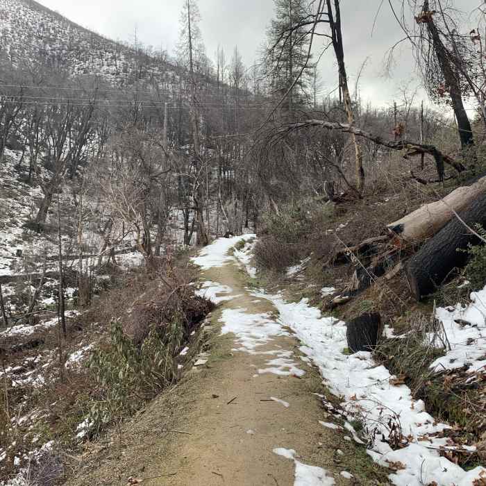 Near Crysral Creek Water Ditch Trail