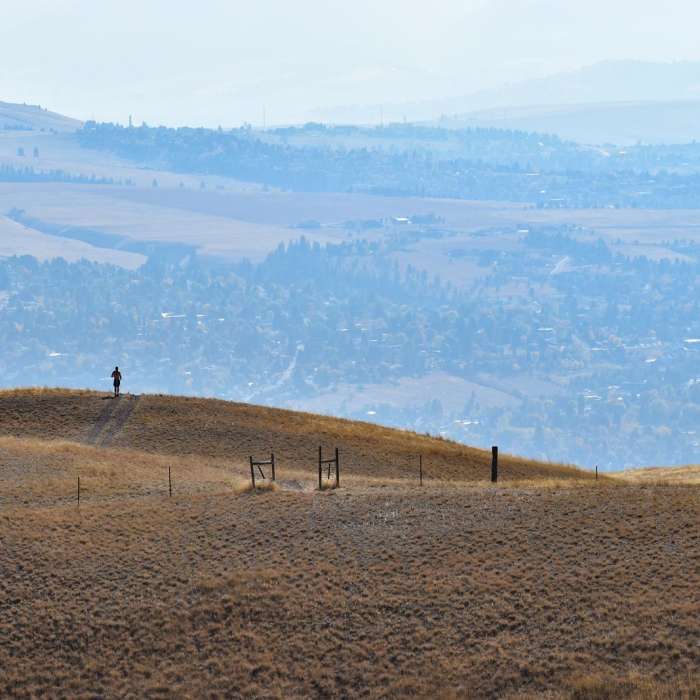 Near The L Trail + Mount Jumbo Summit Loop