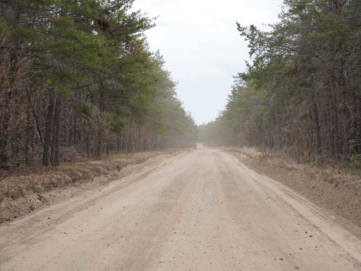 Randall Road photo 3