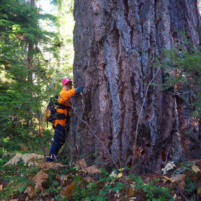 Near Union Creek Trail #1035