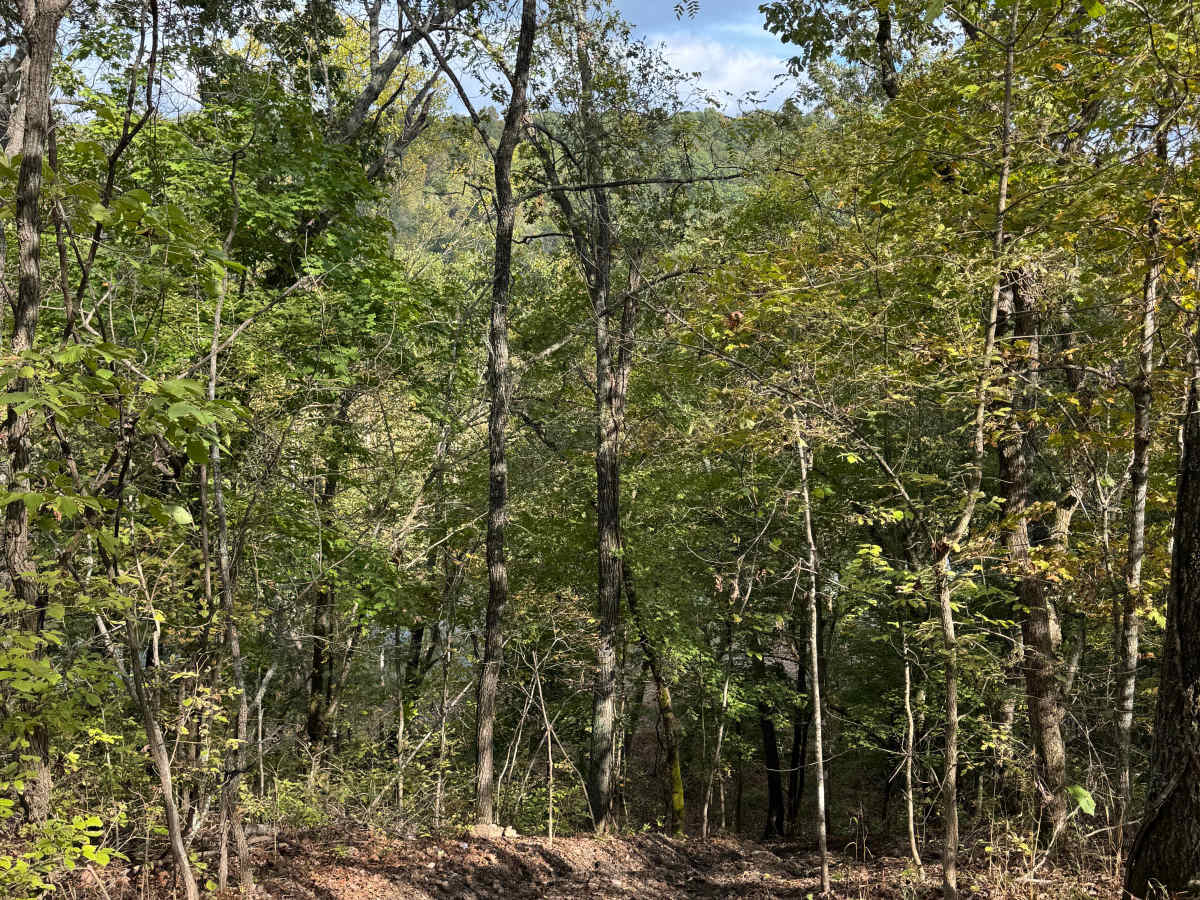 Over the Edge trail photo