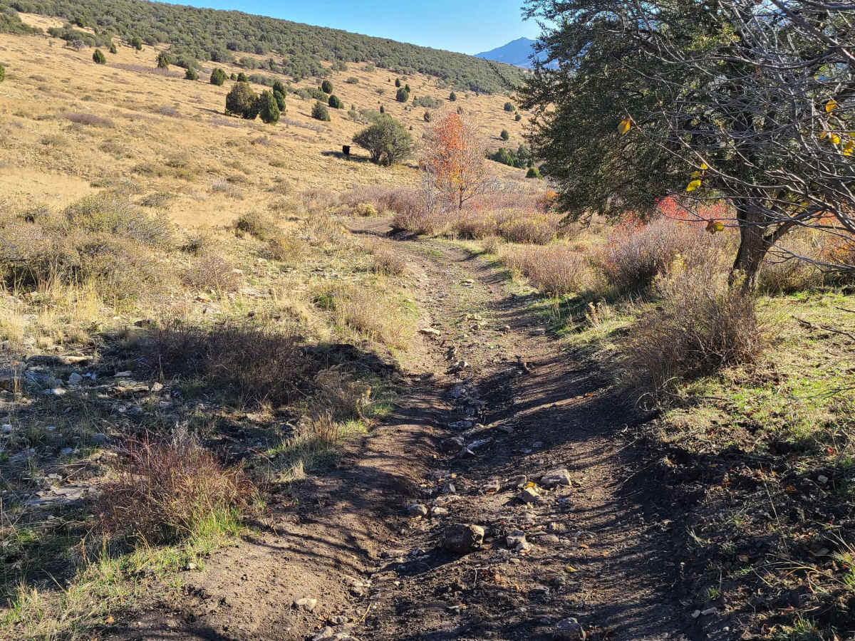 Jenkin's Hollow photo 3