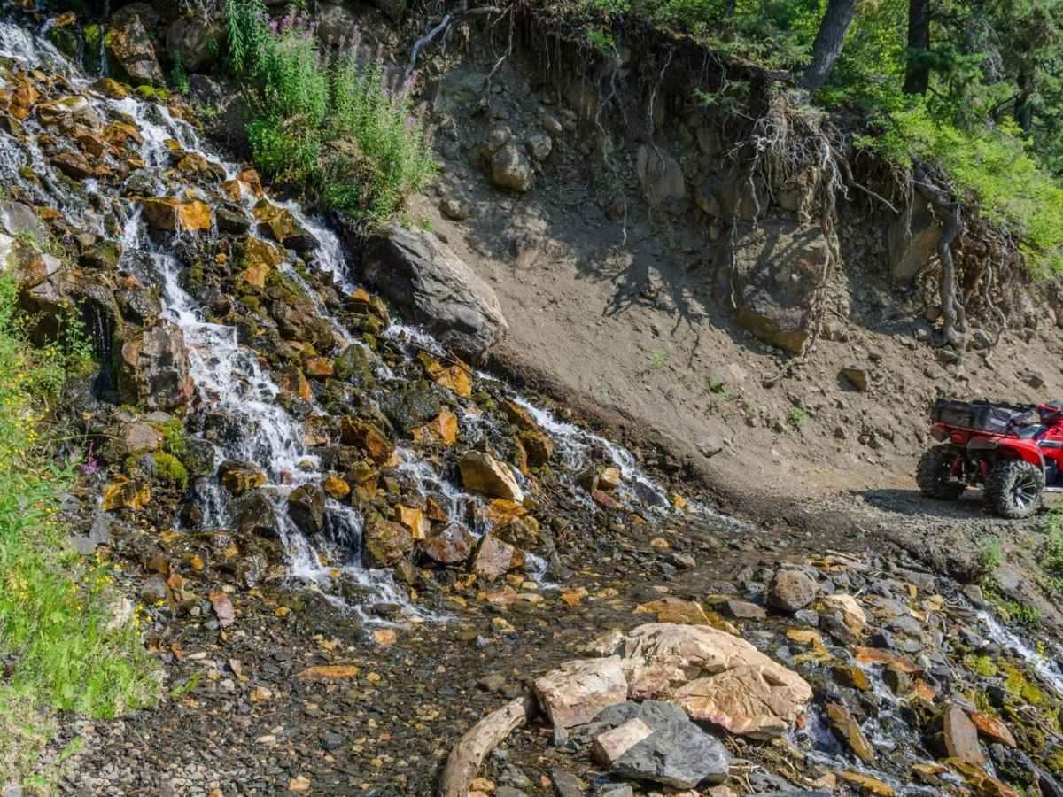 Mineral Fork photo 5