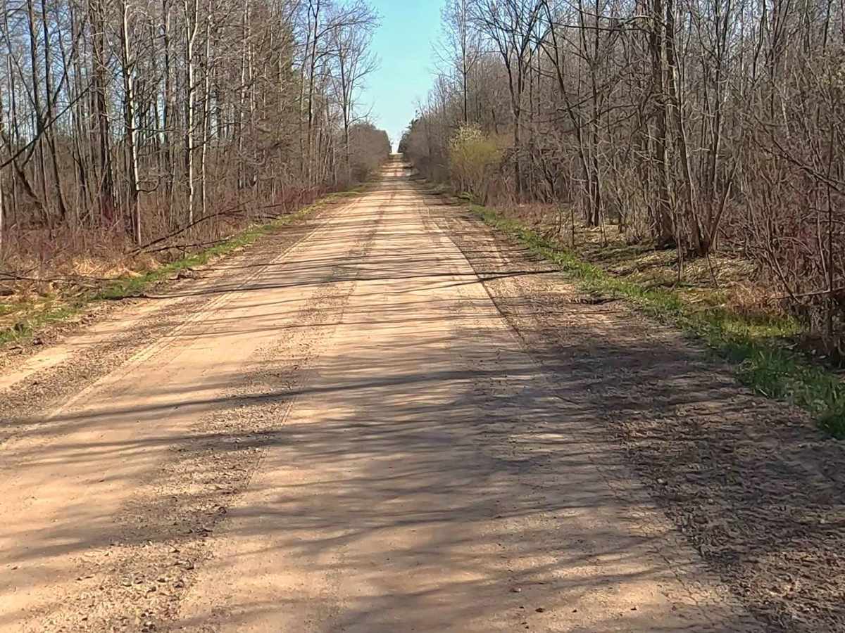 Michaud Road and Goodar Road photo 6