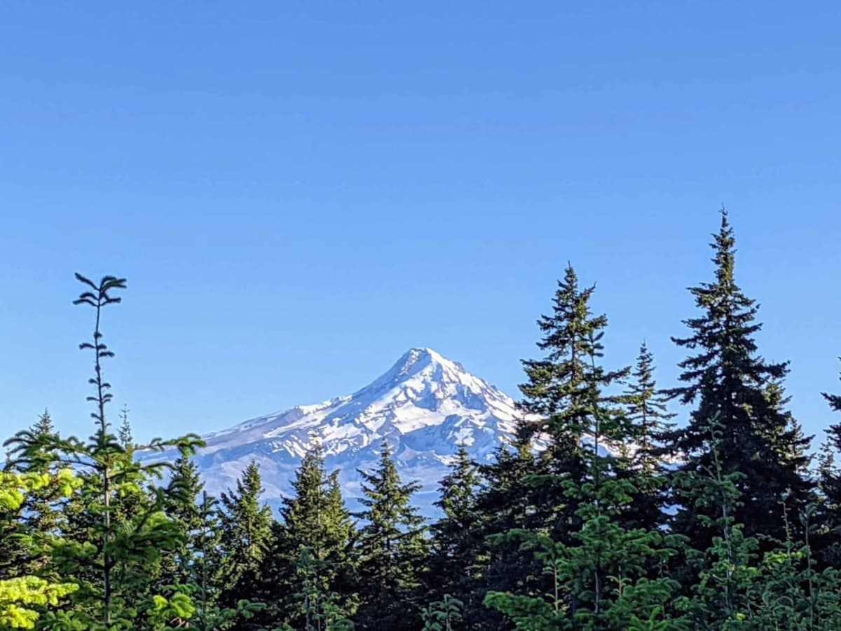 Mount Defiance - NF 2821000 trail photo