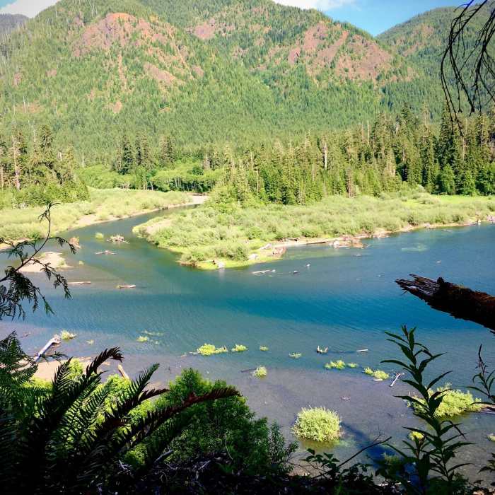 View from the west shore at the very north end of Wynoochee Lake, where the Wynoochee River begins to widen. Near Wynoochee Lake Shore Trail
