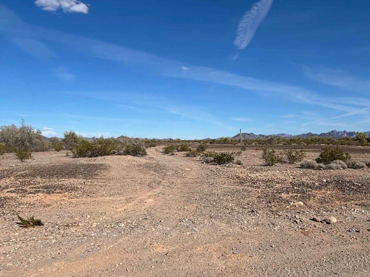BLM 0102C photo 2