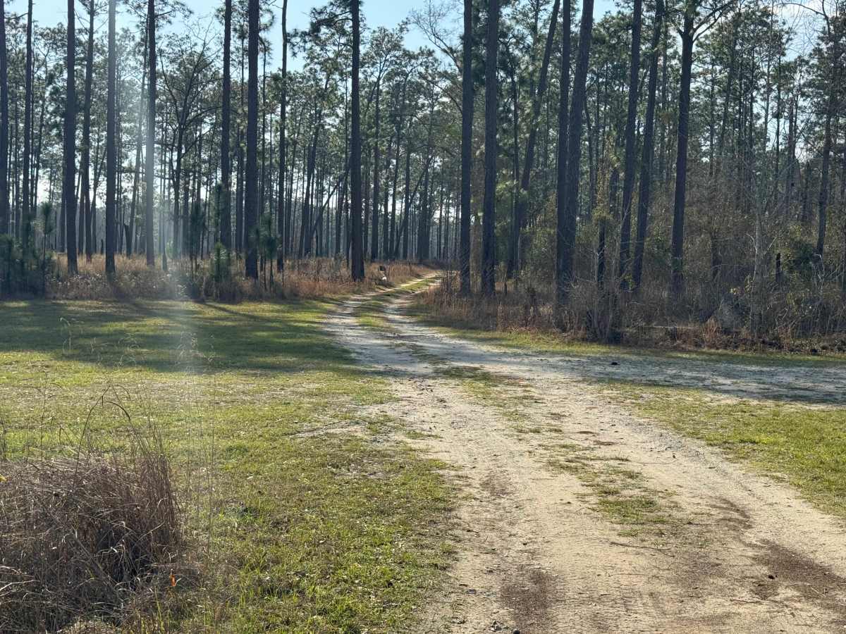 Frog Pond Road photo 5