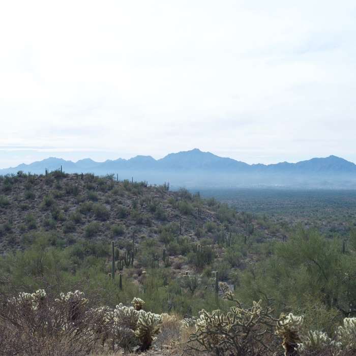Near Desert View Trail