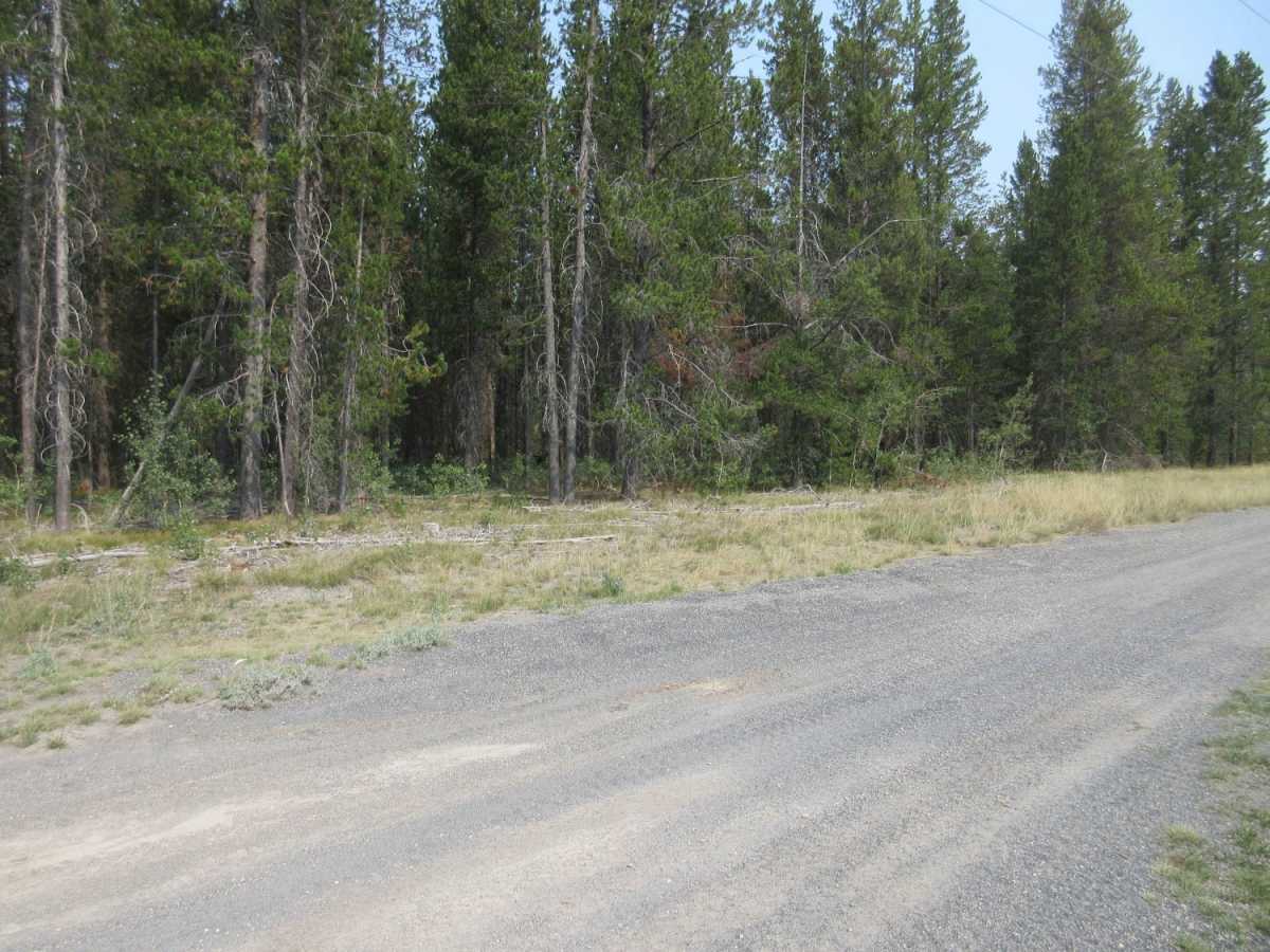Fish - Chick Creek Roads photo 3