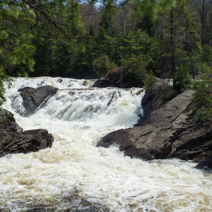 Near Stone Valley Recreation Area