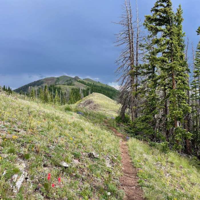 Near Continental Divide Trail: Colorado Section 39