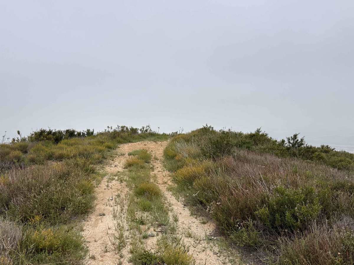 Tumbleweed Run photo 2