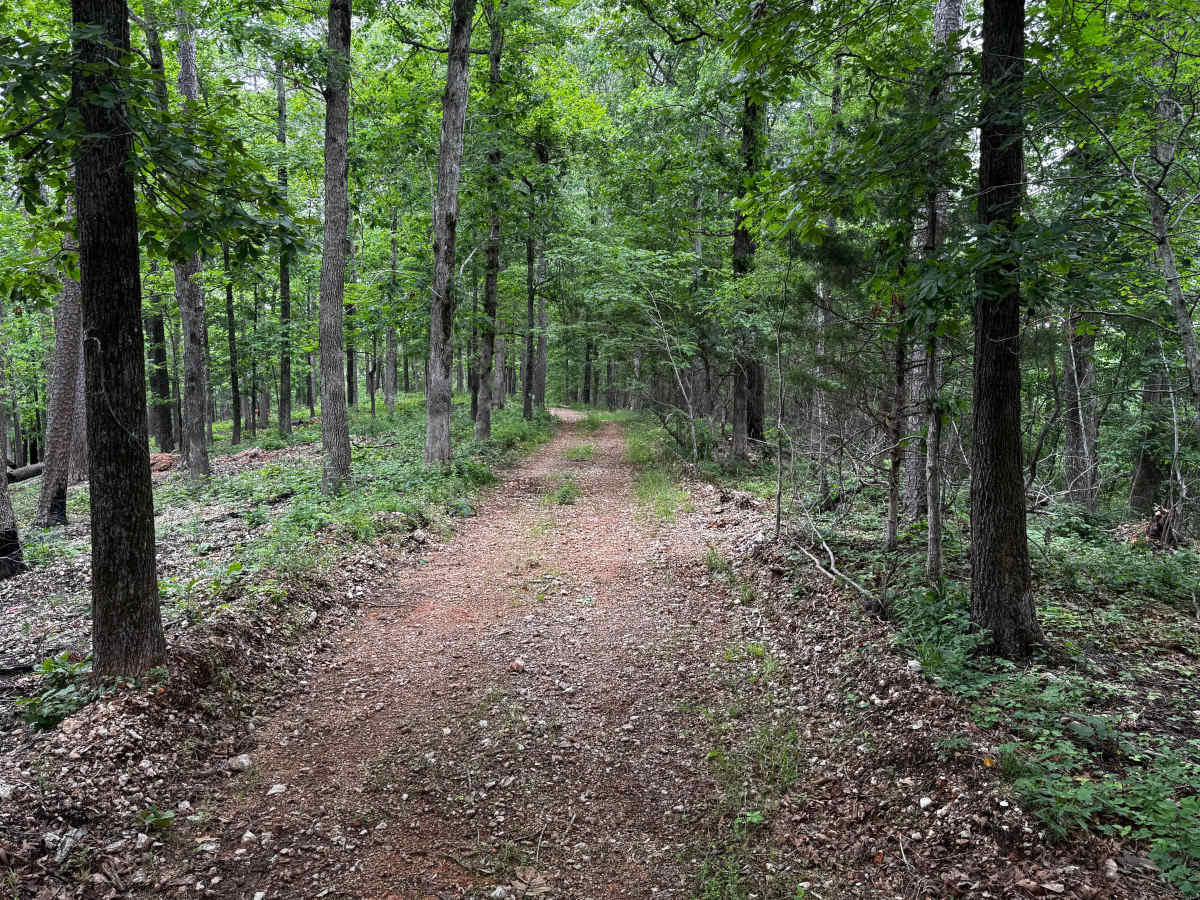 Cap Fork trail photo