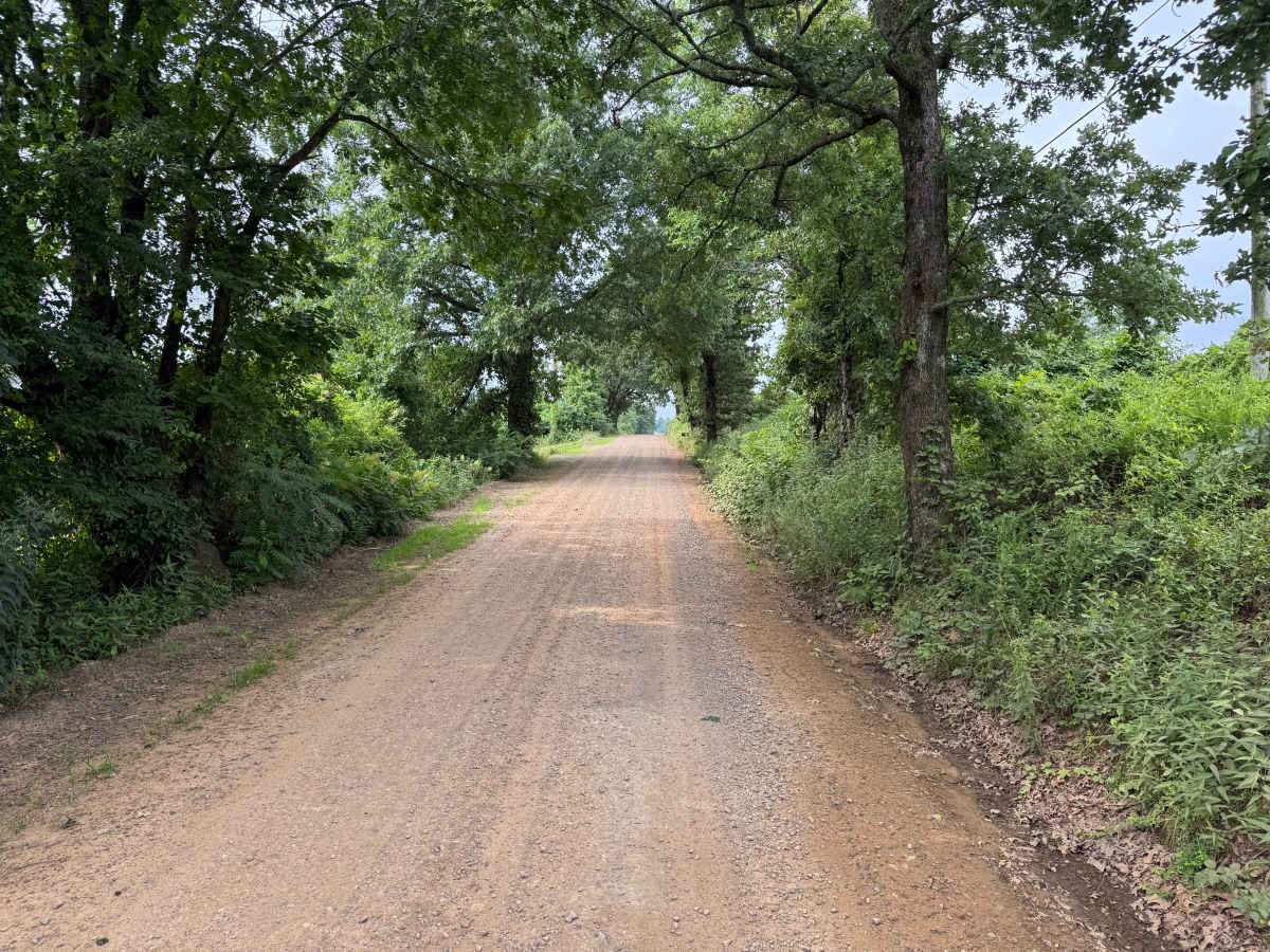 County Road 4021 photo 3