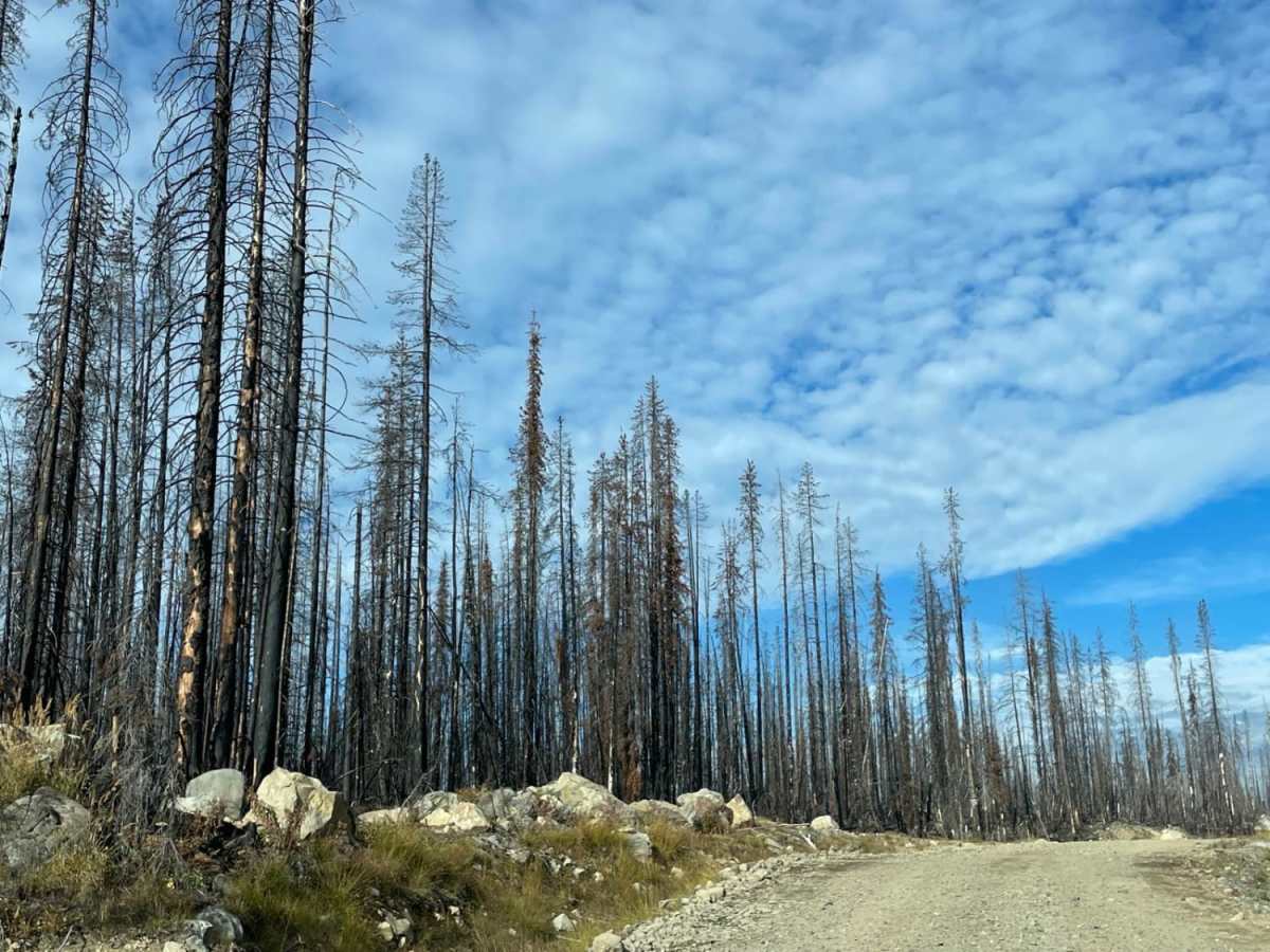 New Road Near Greystokes trail photo