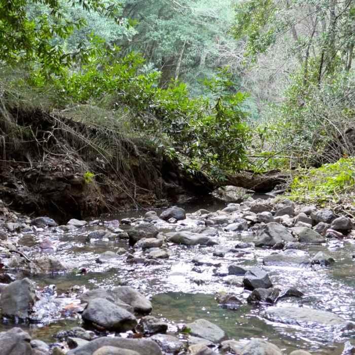 Near Skyline Park to Lake Marie Loop