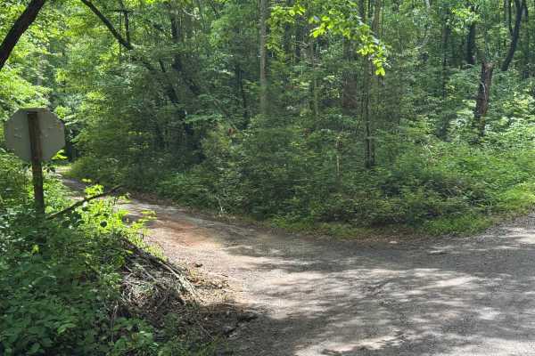 Chambers Creek - FS 2071