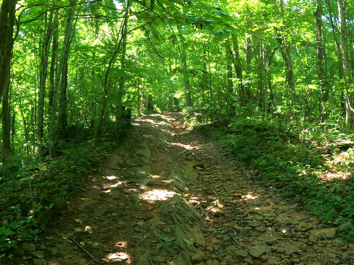 Whiterocks Trail photo 4