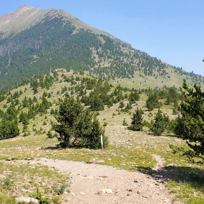 Near Music Pass Trail to Upper Sand Creek Lake